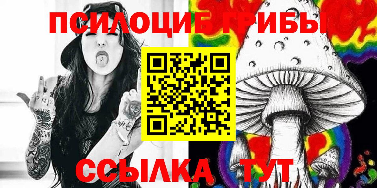 Галлюциногенные грибы Cubensis  Вход с VPN  сколько стоит  Бузулук  Галлюциногенные грибы прущие грибы 